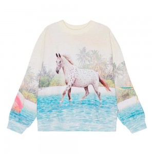 Molo Maxi Girls' Sweatshirts Cardigans Island Horse | ZA0000469